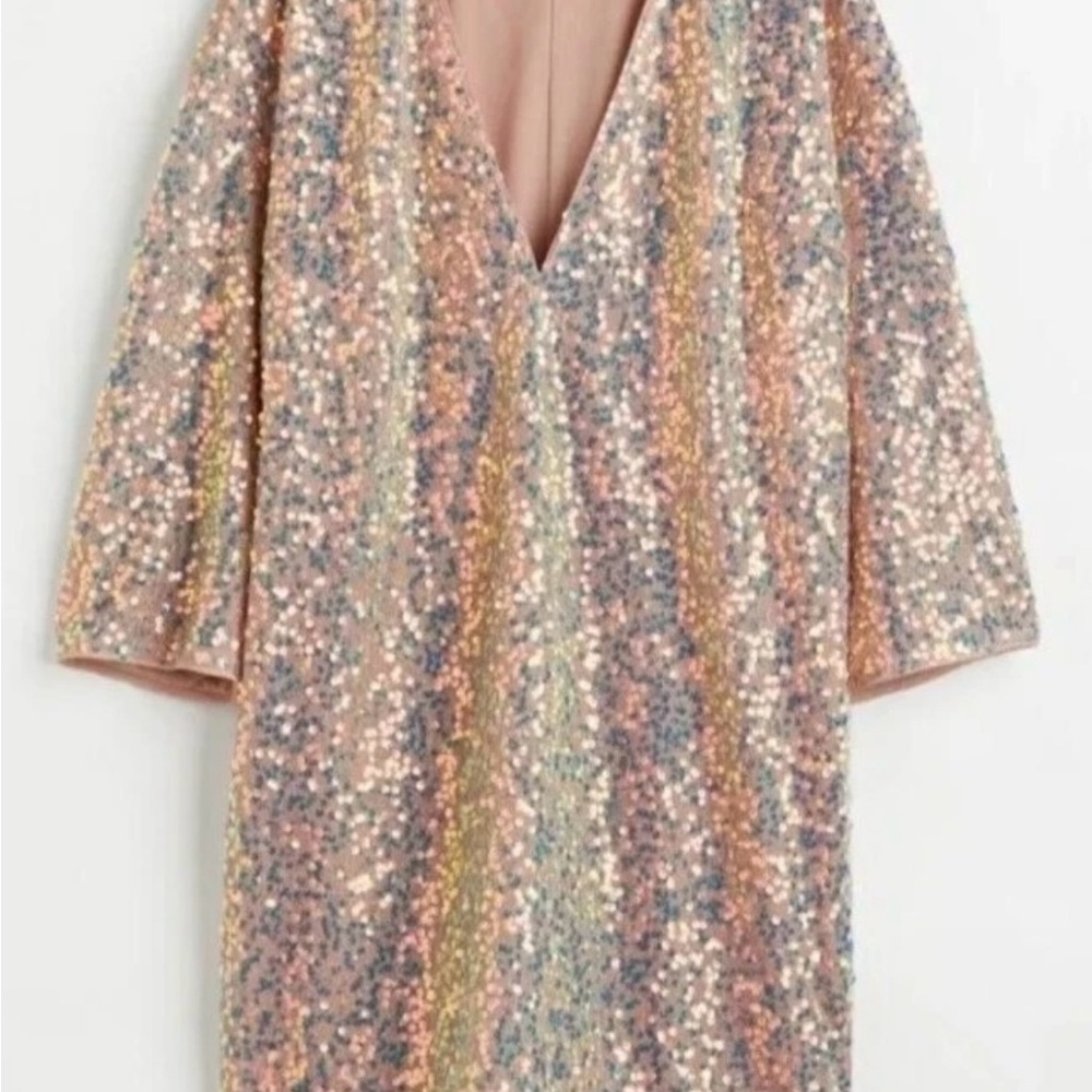 H&M Glittering Sequin Dress